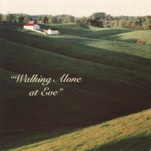 ดาวน์โหลดและฟังเพลง Poor Wayfaring Stranger พร้อมเนื้อเพลงจาก David Slater