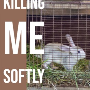 Listen to Killing Me Softly song with lyrics from The Bachelors