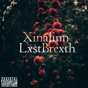 收听Xinalinn的Lxst Brexth (Explicit)歌词歌曲