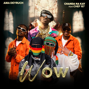Listen to Wow song with lyrics from Ama Deyruch