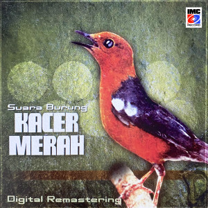 Dengarkan Suara Burung Anis Merah (Orange-headed Thrush call song) lagu dari Aneka Burung IMC dengan lirik