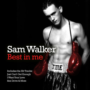 ดาวน์โหลดและฟังเพลง Touch Me พร้อมเนื้อเพลงจาก Sam Walker