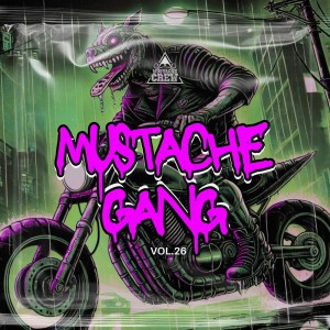 收聽Sitzler的The Glitch歌詞歌曲