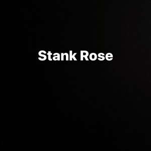 อัลบัม Stank Rose (feat. Joey Bada$$) (Explicit) ศิลปิน BLK ODYSSY