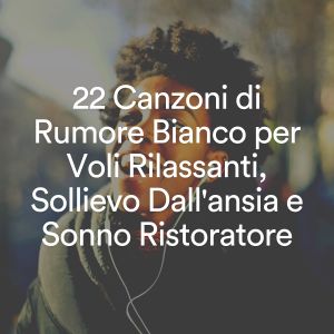 White Noise Radiance的专辑22 Canzoni di Rumore Bianco per Voli Rilassanti, Sollievo Dall'ansia e Sonno Ristoratore