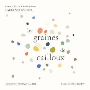 Les graines de cailloux dari Laurence Saltiel