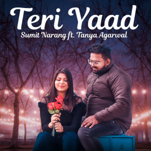 Album Teri Yaad from Sumit Narang