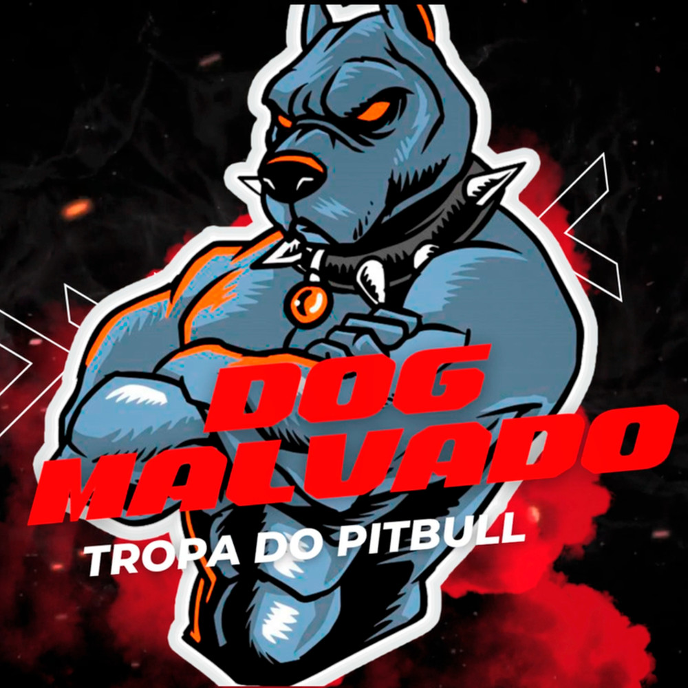Só Quero Socar o Pau na Xota (feat. Mc D12) (Explicit)