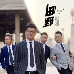 田野 dari 大石桥联盟