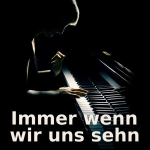ดาวน์โหลดและฟังเพลง Immer wenn wir uns sehn (Piano Version) พร้อมเนื้อเพลงจาก Immer wenn wir uns sehn