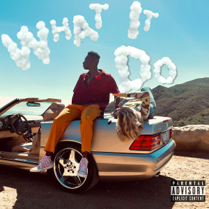Ni/Co的專輯What it (do do do) (Explicit)