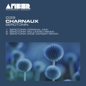 Listen to Serotonin (So.undso Remix) song with lyrics from Charnaux