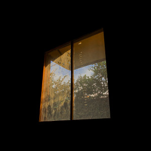 Album Essência from Tapsounds
