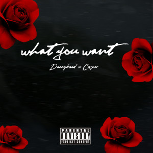ดาวน์โหลดและฟังเพลง What You Want (Explicit) พร้อมเนื้อเพลงจาก Danny Baad