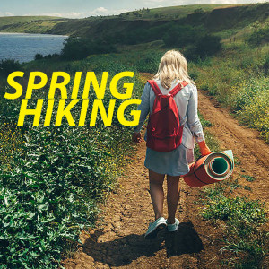 收听Jackie Wilson的St. Louis Blues歌词歌曲