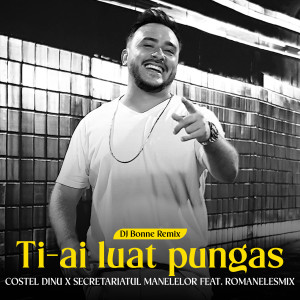 收听Costel Dinu的Ti-ai luat pungas (DJ Bonne Remix)歌词歌曲