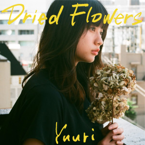 Dried Flowers English Version