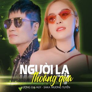 Album Người Lạ Thoáng Qua oleh Saka Trương Tuyền