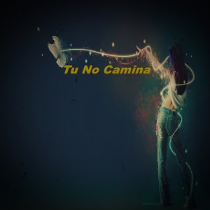 Listen to Tu No Camina song with lyrics from Yolo Aventuras