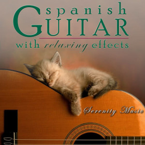 ดาวน์โหลดและฟังเพลง Cajita de Música (Relaxing Waves of the Sea) พร้อมเนื้อเพลงจาก Green Planet Studio