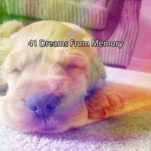 อัลบัม 41 Dreams From Memory ศิลปิน Sounds of Nature Relaxation