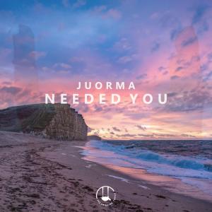 Juorma的專輯Needed You