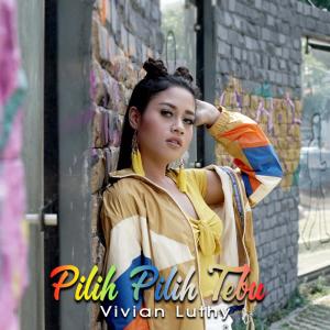收听Vivian Lutfy的Pilih Pilih Tebu歌词歌曲