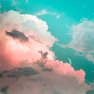 Album 理想生活 Demo-翻唱 from 蓝莓冰Dulcim_