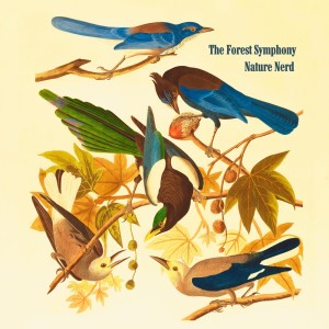 Album The Forest Symphony from Nature Nerd