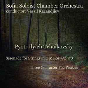 ดาวน์โหลดและฟังเพลง Serenade for Strings in C Major, Op. 48: 3. Elegie พร้อมเนื้อเพลงจาก Sofia Soloists Chamber Orchestra