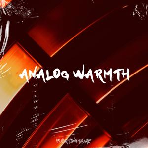 Album Analog Warmth from Floating Animal