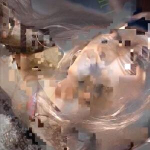 Ballpit的專輯idrk what to name this :) (feat. DYLXN!! & angel dust) [Explicit]