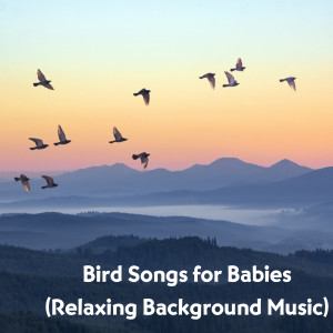 Natural Sounds Selections的專輯Bird Songs for Babies (Relaxing Background Music)