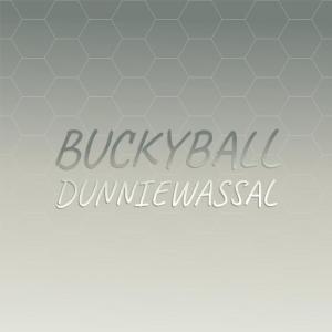 Various Artists的專輯Buckyball Dunniewassal