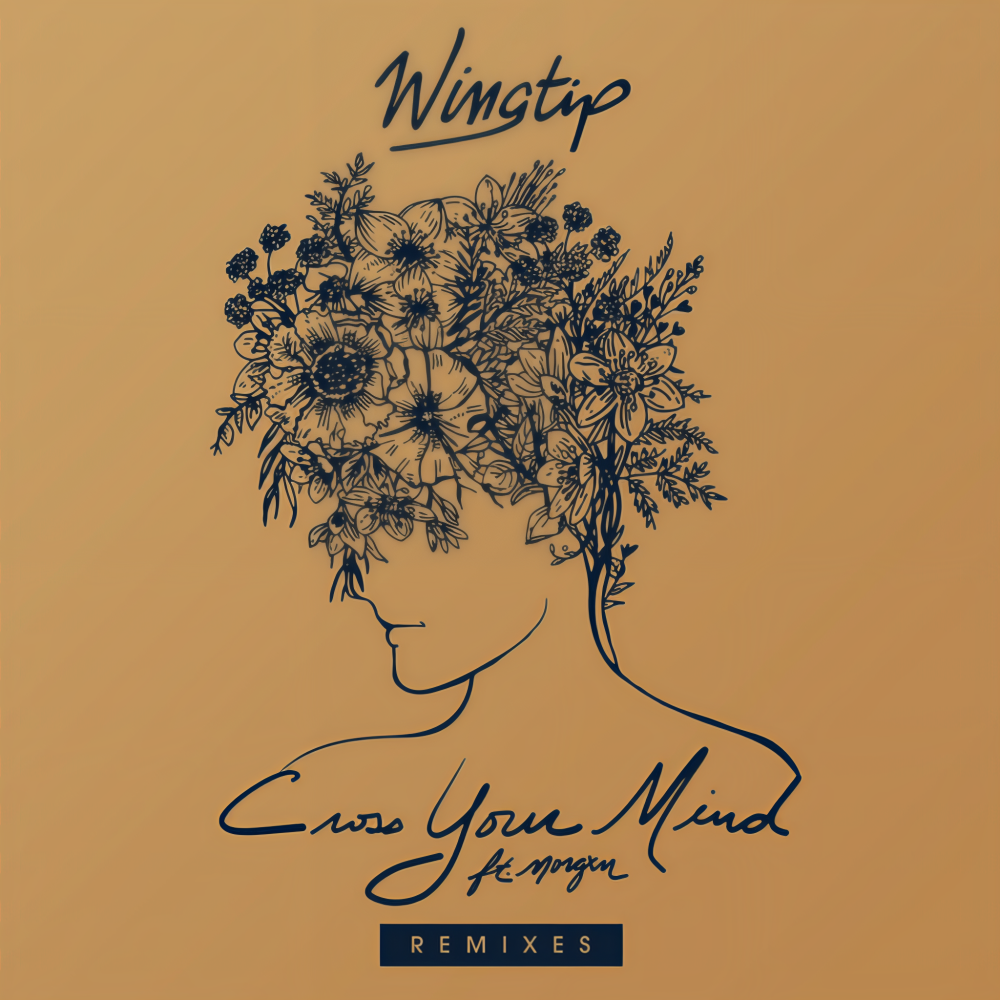 Cross Your Mind (Spencer Brown Remix)