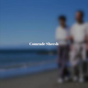 Various的专辑Comrade Sheesh
