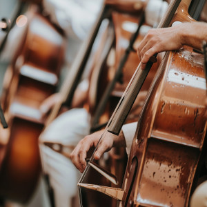 ดาวน์โหลดและฟังเพลง Ondas De Ilusión Mística De Jazz พร้อมเนื้อเพลงจาก Jazz sin palabras