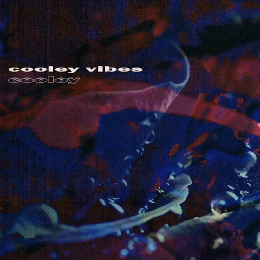 Cooley Vibes (Explicit)