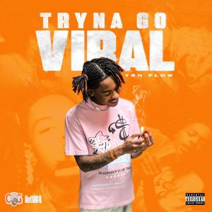YSN FLOW的專輯Tryna Go Viral (Explicit)