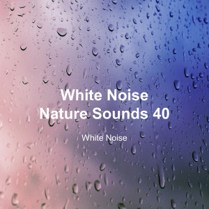White Noise 40 (Rain Sounds, Bonfire Sound, Baby Sleep, Deep Sleep)