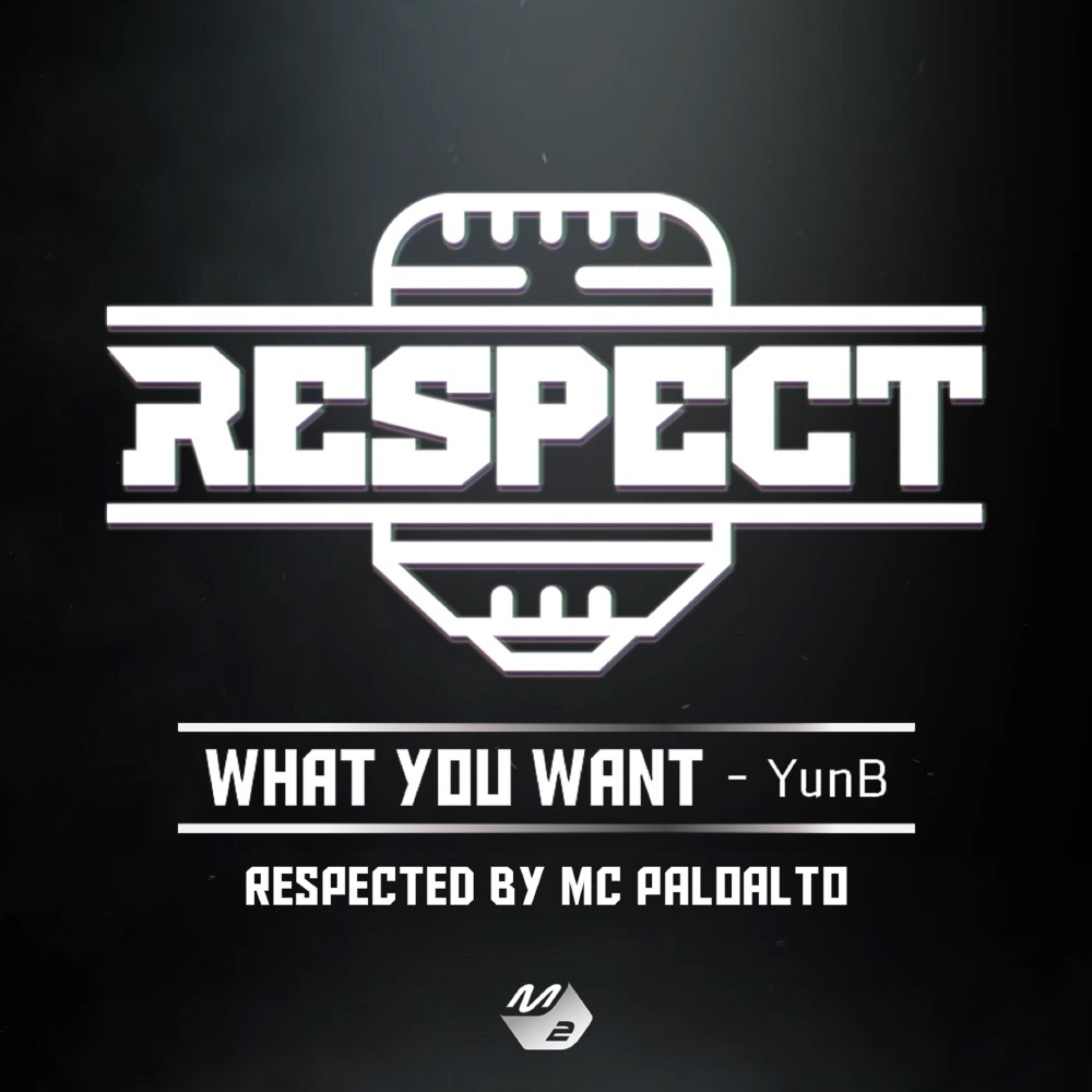 What You Want (Explicit)