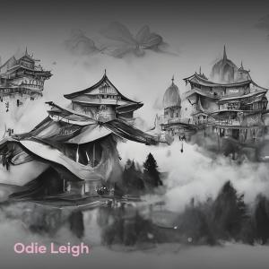 Odie Leigh的專輯Don't Go Anyway