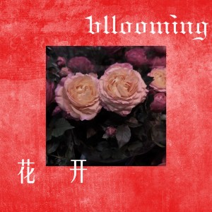 Album 花开 from 