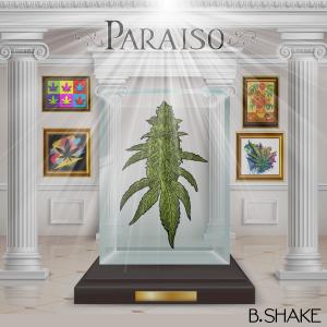 ดาวน์โหลดและฟังเพลง Paraíso (Explicit) พร้อมเนื้อเพลงจาก Black Shake Verbaltera