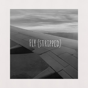 收听Michael Girgis的Fly (Stripped)歌词歌曲