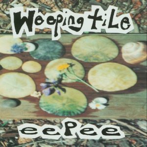 ดาวน์โหลดและฟังเพลง The Room With The Sir John A. View พร้อมเนื้อเพลงจาก Weeping Tile