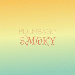 Various Artists的專輯Plumbago Smoky