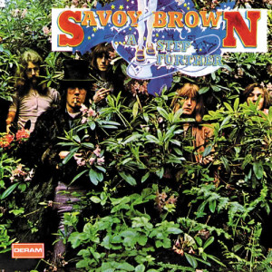 ดาวน์โหลดและฟังเพลง I'm Tired - Where Am I พร้อมเนื้อเพลงจาก Savoy Brown