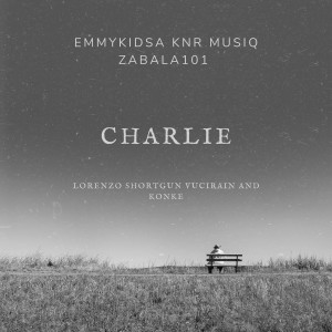 EmmykidSA的专辑Charlie