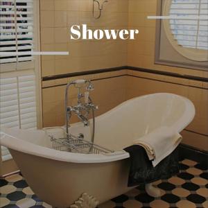 Various的专辑Shower